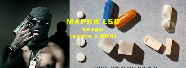 индика Зеленокумск