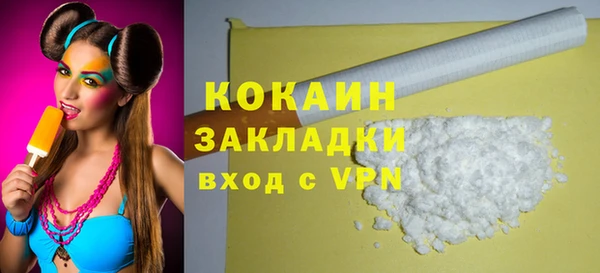 индика Зеленокумск