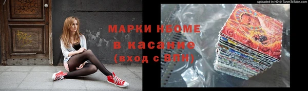 индика Зеленокумск