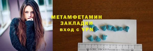 индика Зеленокумск