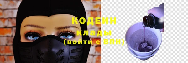 крисы Зеленодольск