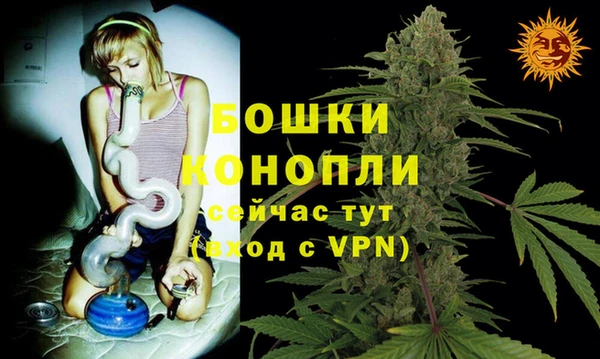 крисы Зеленодольск