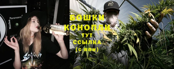 шишки Зерноград