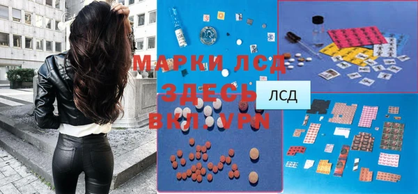 индика Зеленокумск