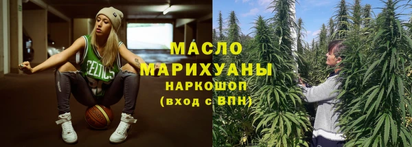 индика Зеленокумск