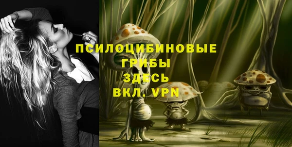 шишки Зерноград