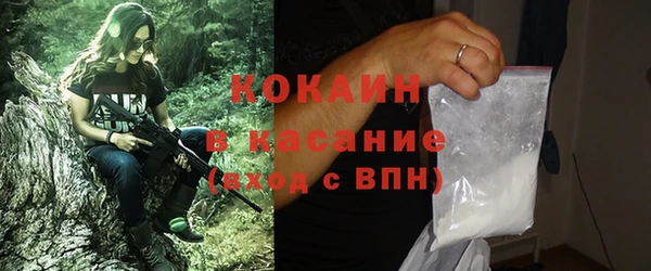 индика Зеленокумск