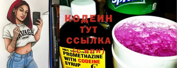 индика Зеленокумск