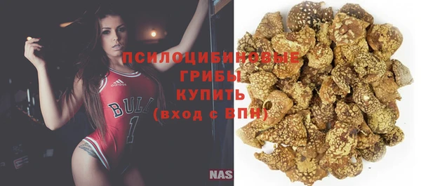 индика Зеленокумск