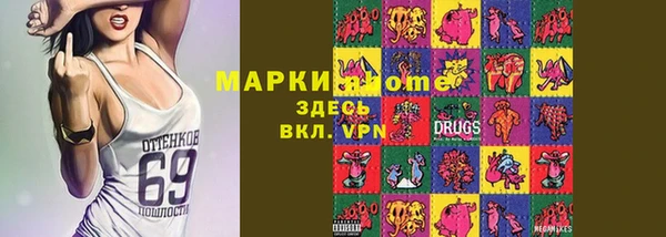 индика Зеленокумск