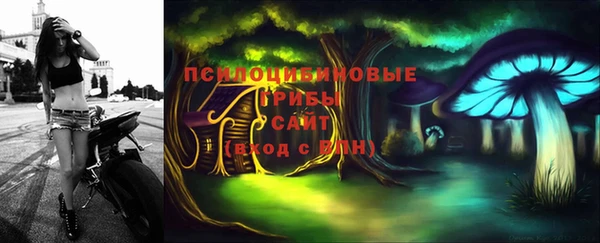 шишки Зерноград